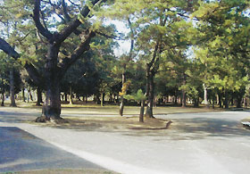 高師緑地公園